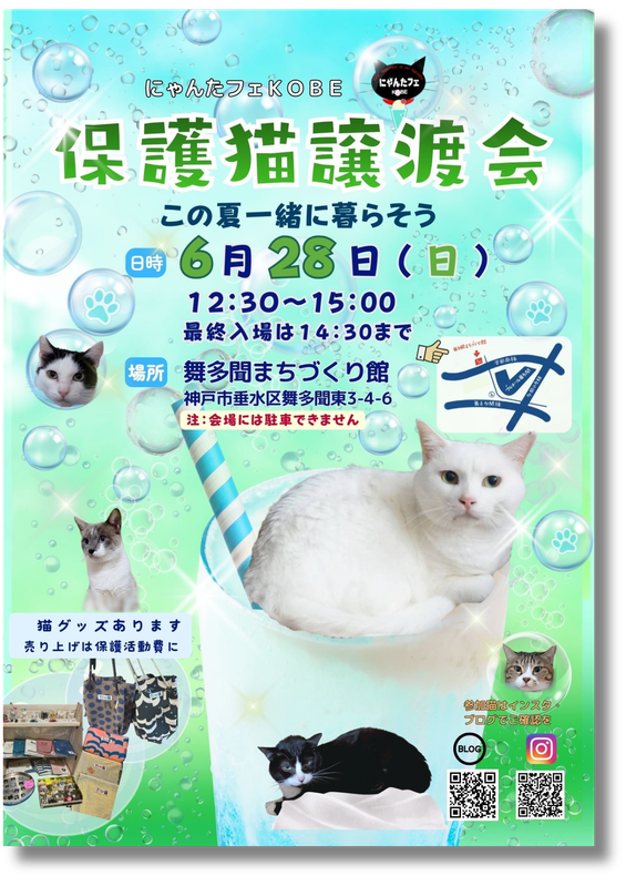 にゃんた(プロフ参照してください)ページ にゃんたフェKobe のホームページ