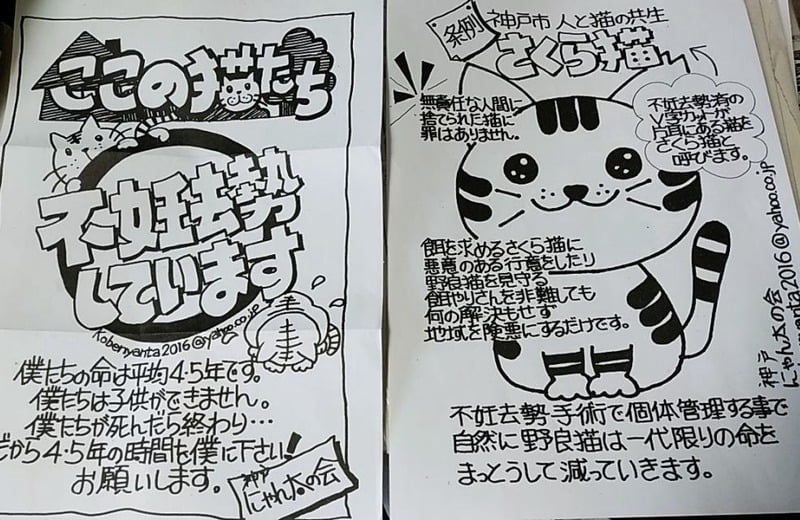 にゃんたフェKobe のホームページ
