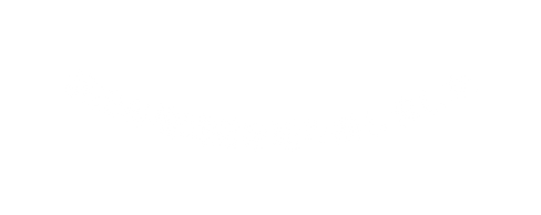 沢山の地域猫を送り出しました