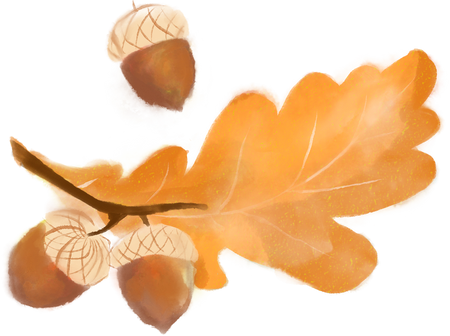 Oak Acorn Leaf Autumn Traditional Watercolor Thanksgiving